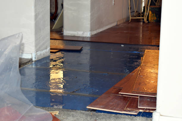 Professional Sewage Cleanup technician working in Hewitt, WI
