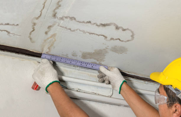 Reliable Sewage Cleanup contractor in Hewitt, WI by Water Damage Irwin